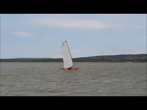 viola14 sailing