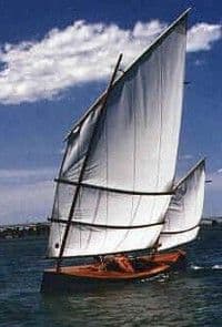 29503575