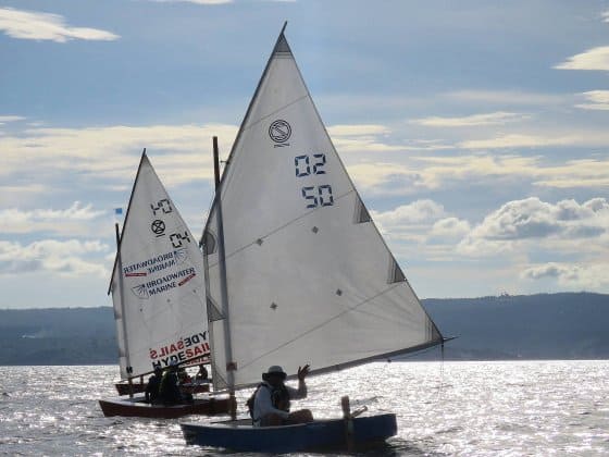 Oz Goose National Championship - cheapest racing class sail boat - storer boat plans